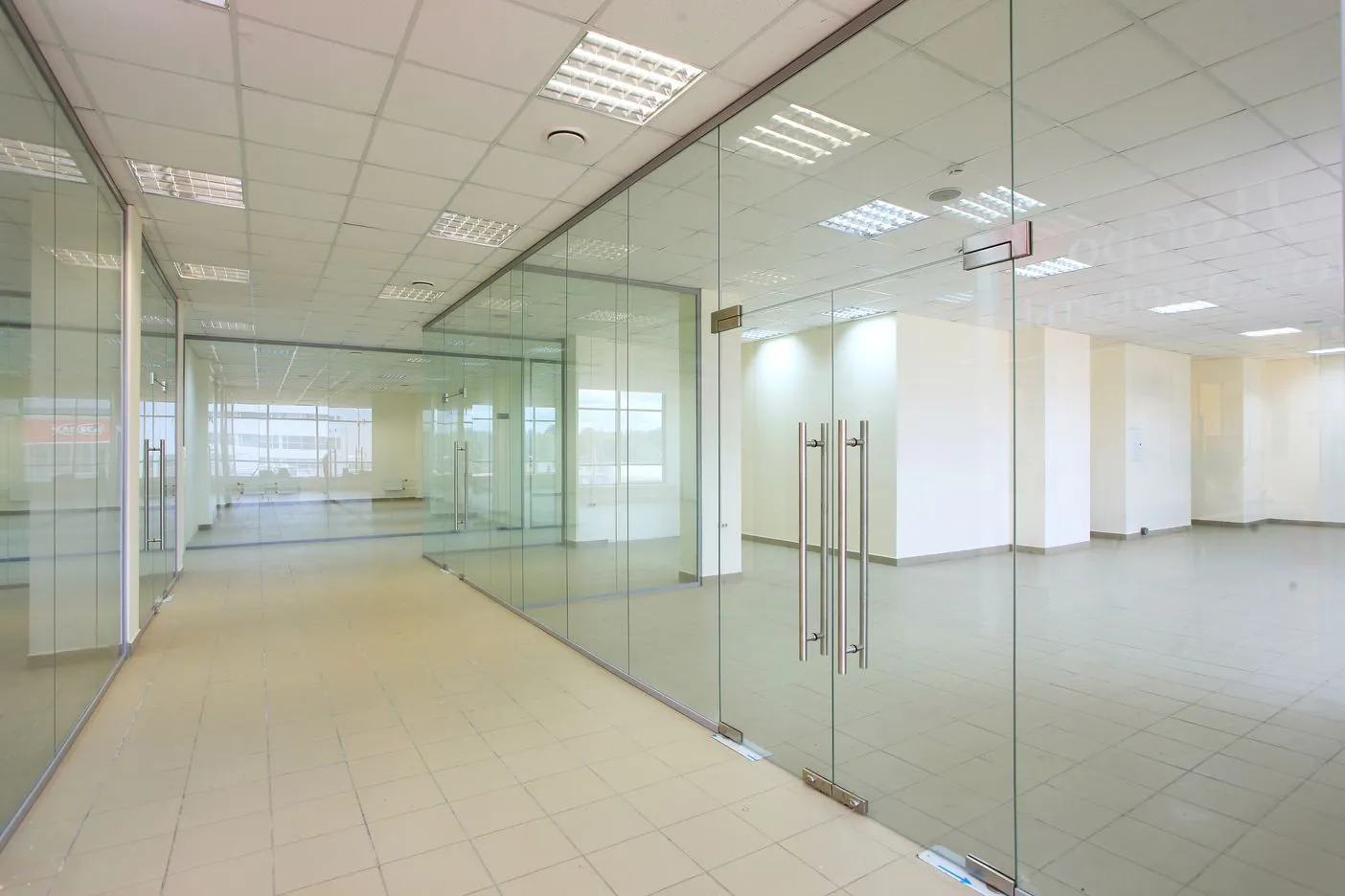 Глухие распашные двери